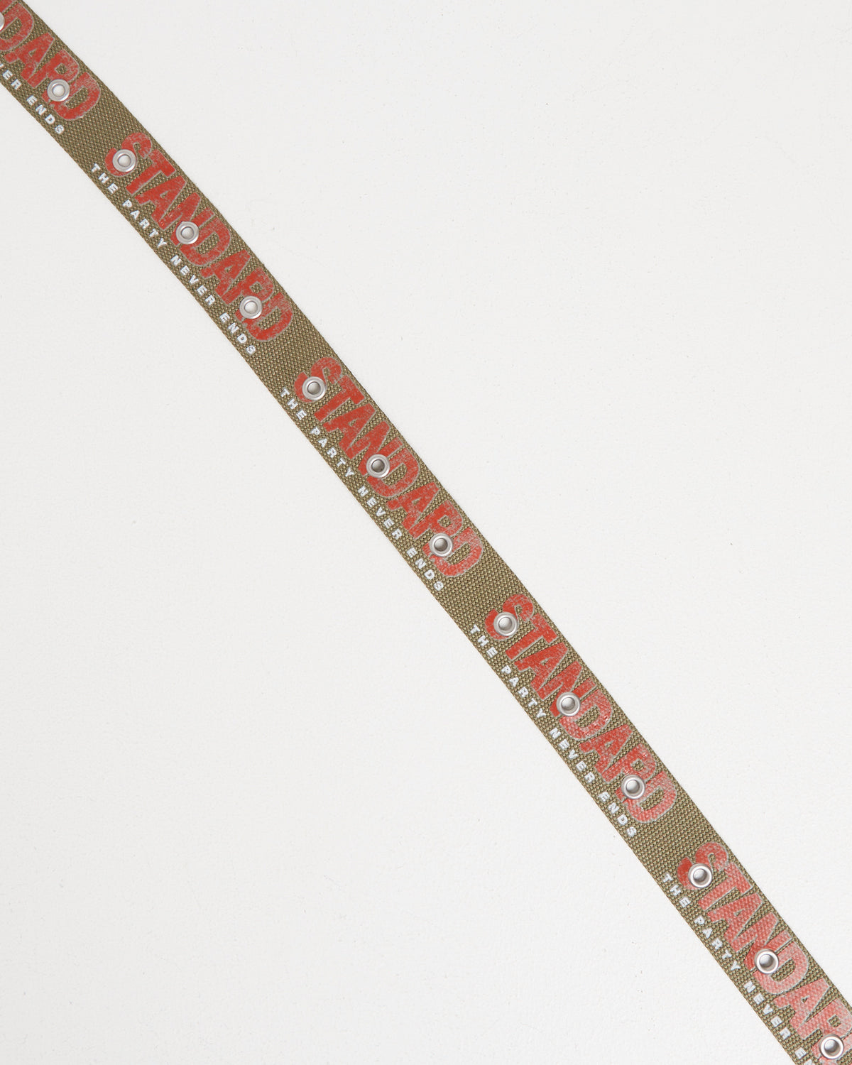 Endless Belt
