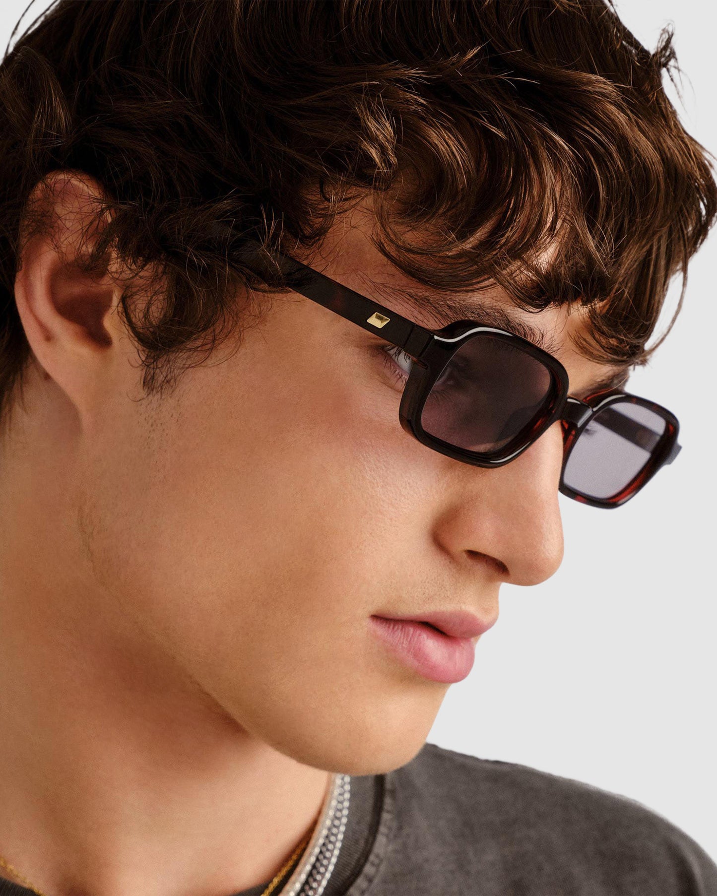 Pilferer Sunglasses