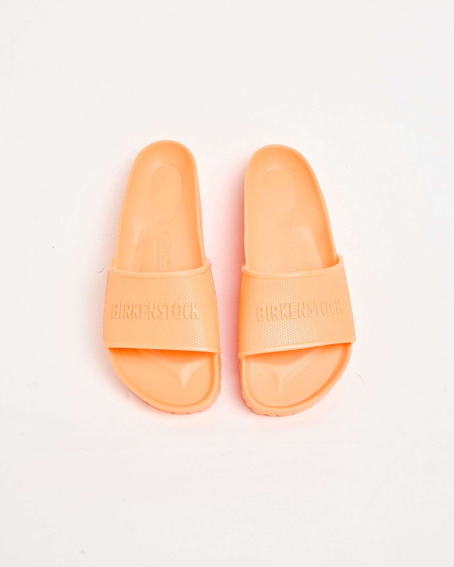 Barbados EVA Regular Slides in Papaya