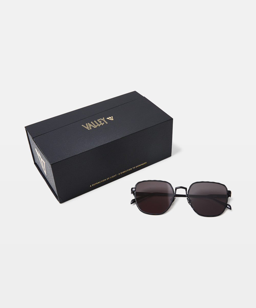 Dotan Sunglasses Matte Black BROWN