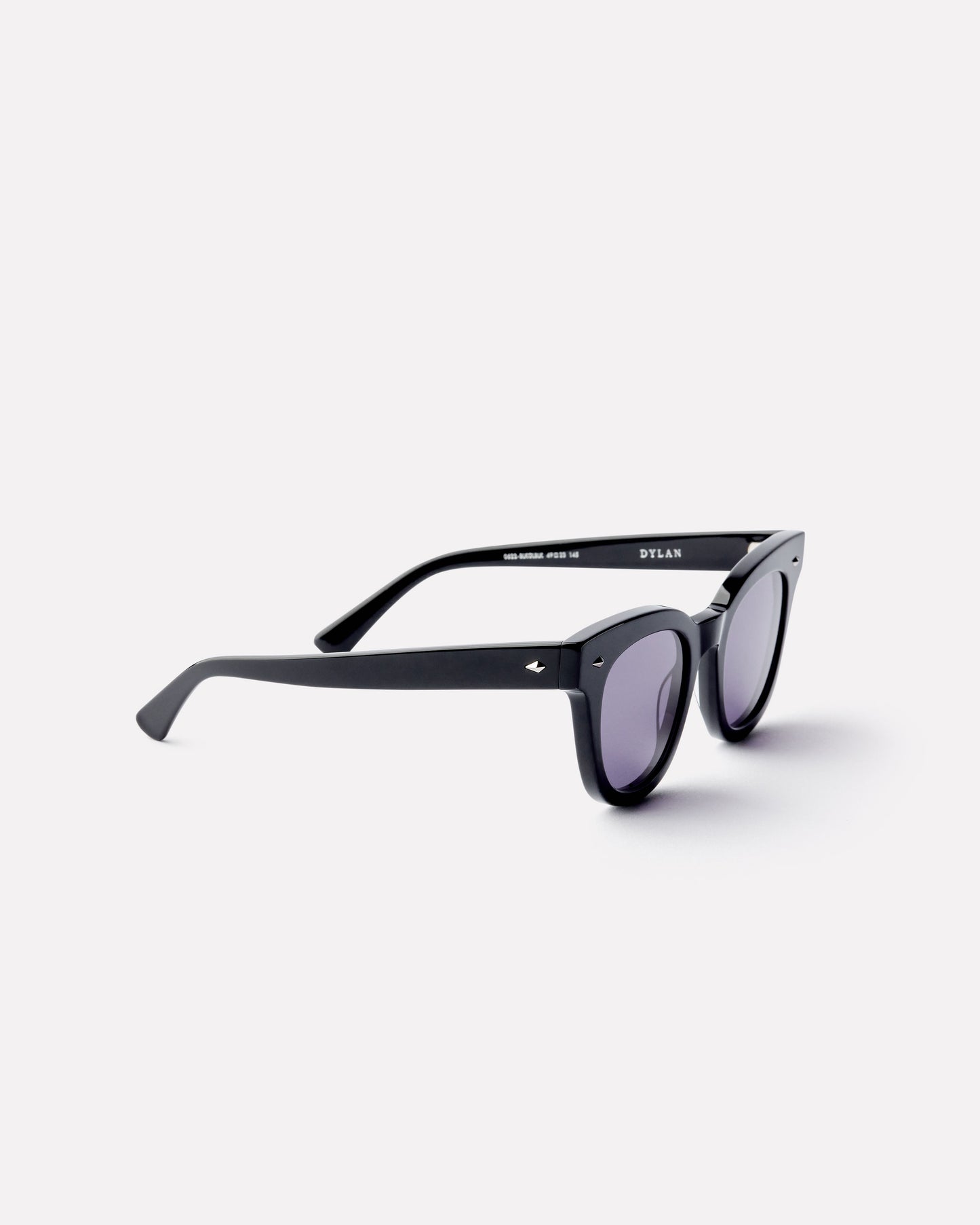 Dylan Sunglasses in Black Polished