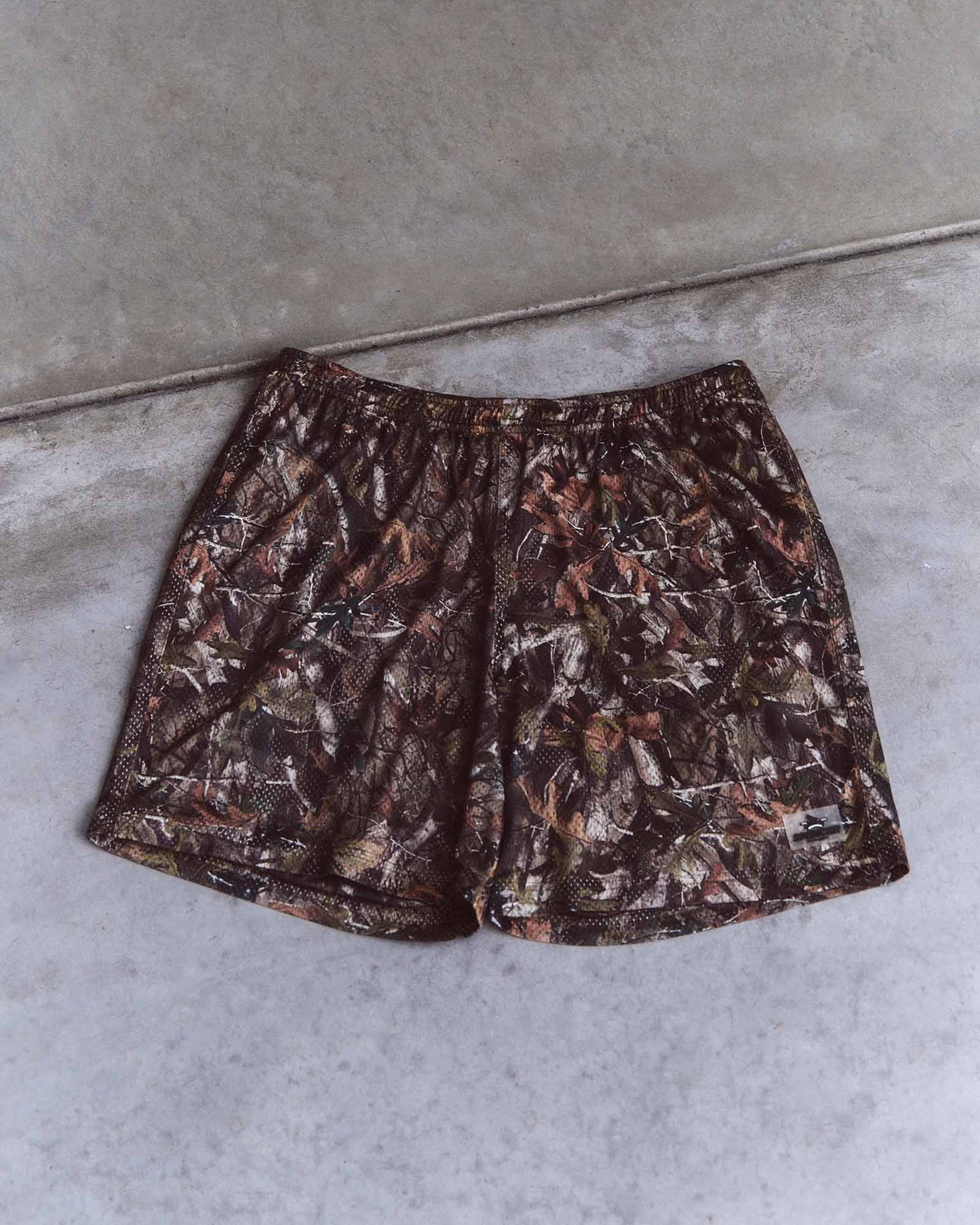 Melrose Mesh Shorts