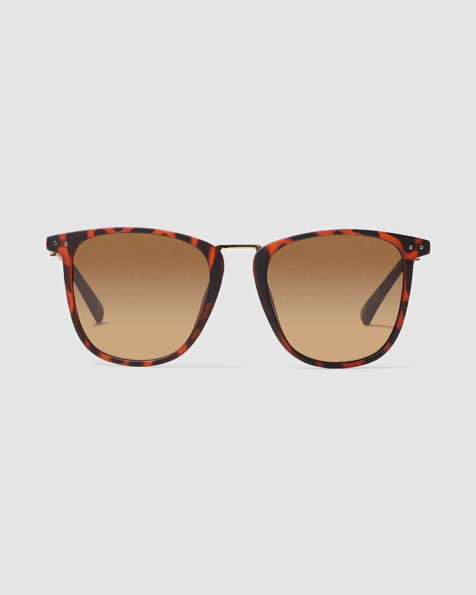 NYC Sunglasses Matte Tort Brown BROWN