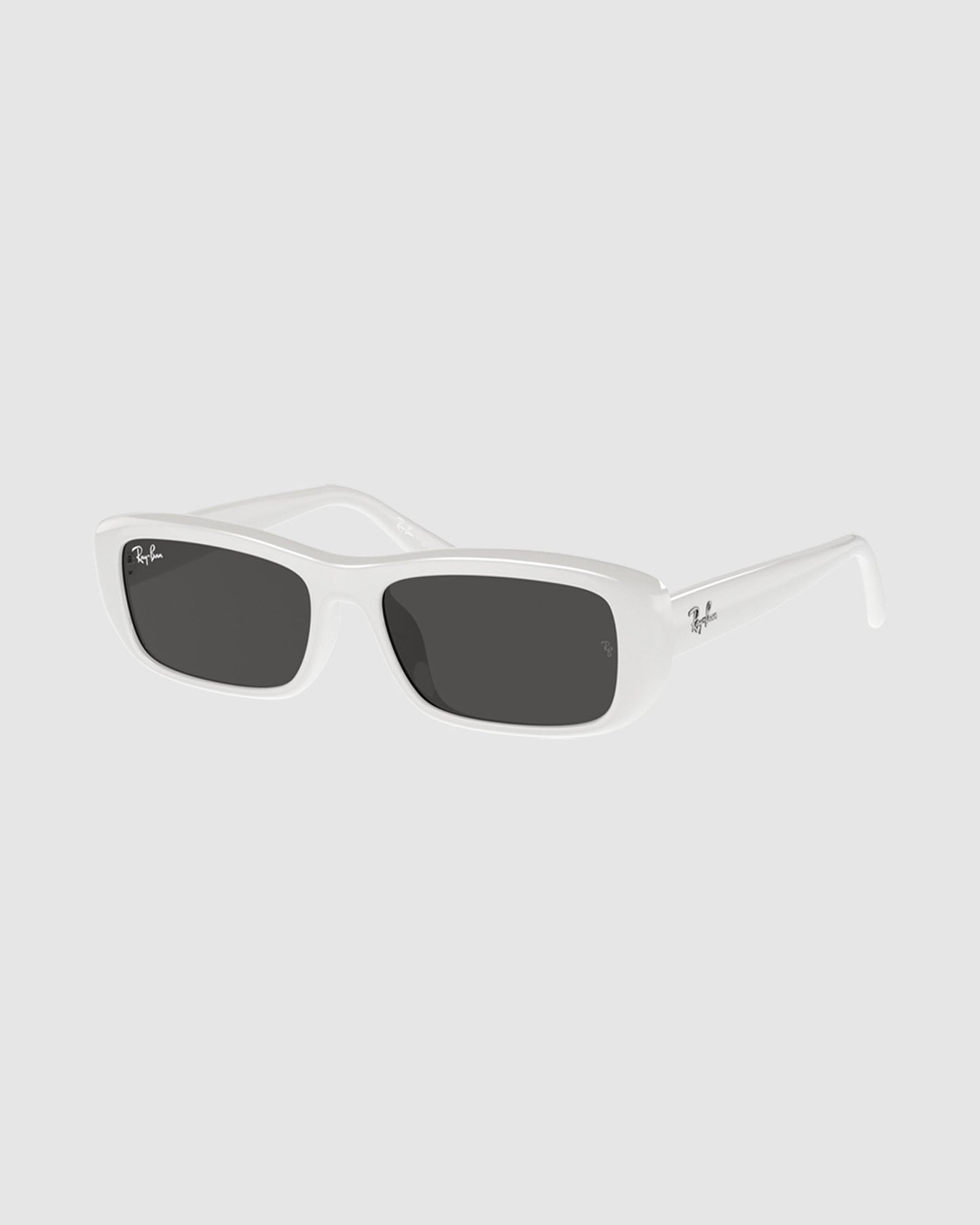 RB4436D Sunglasses