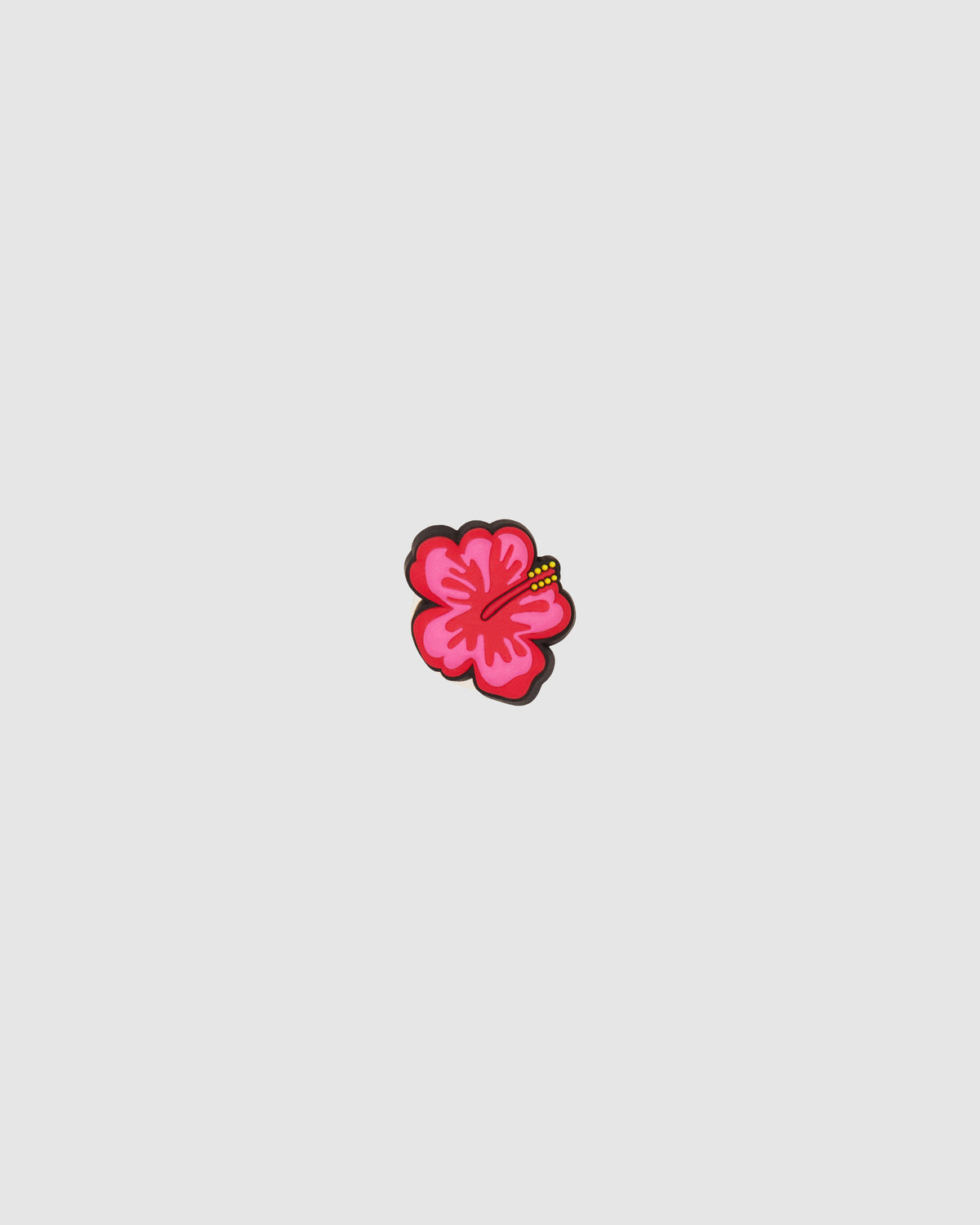 Hibiscus Jibbit