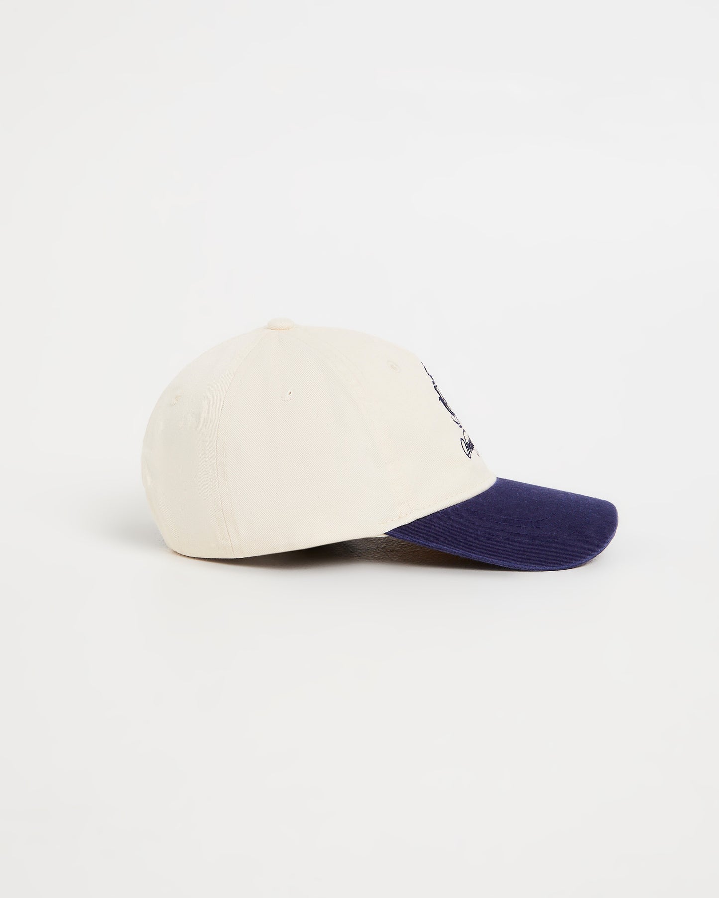 Crest Contrast Cap