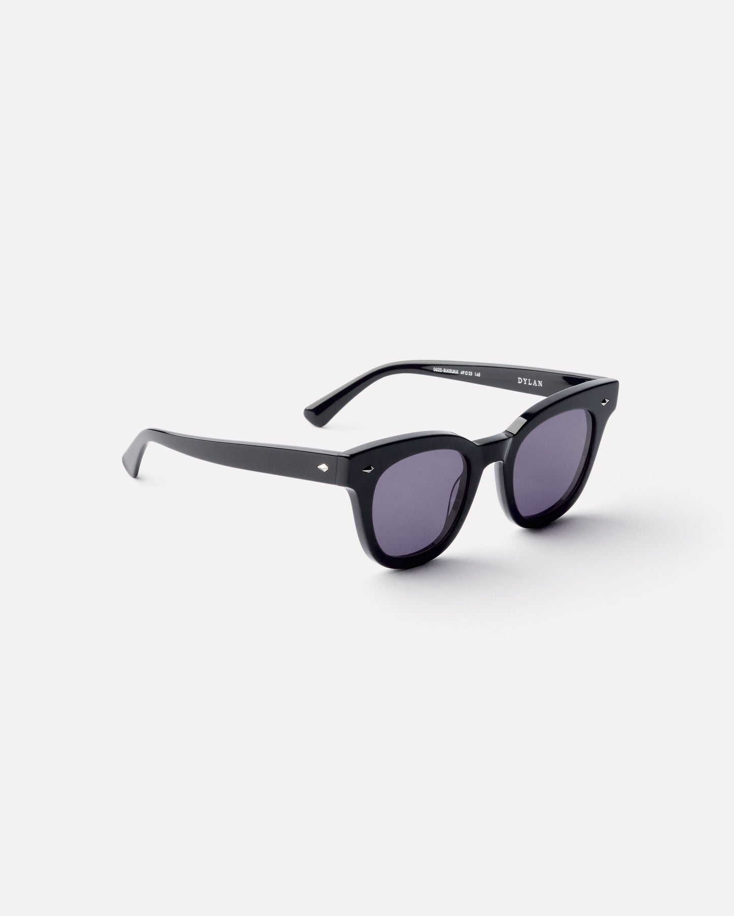 Dylan Sunglasses in Black Polished