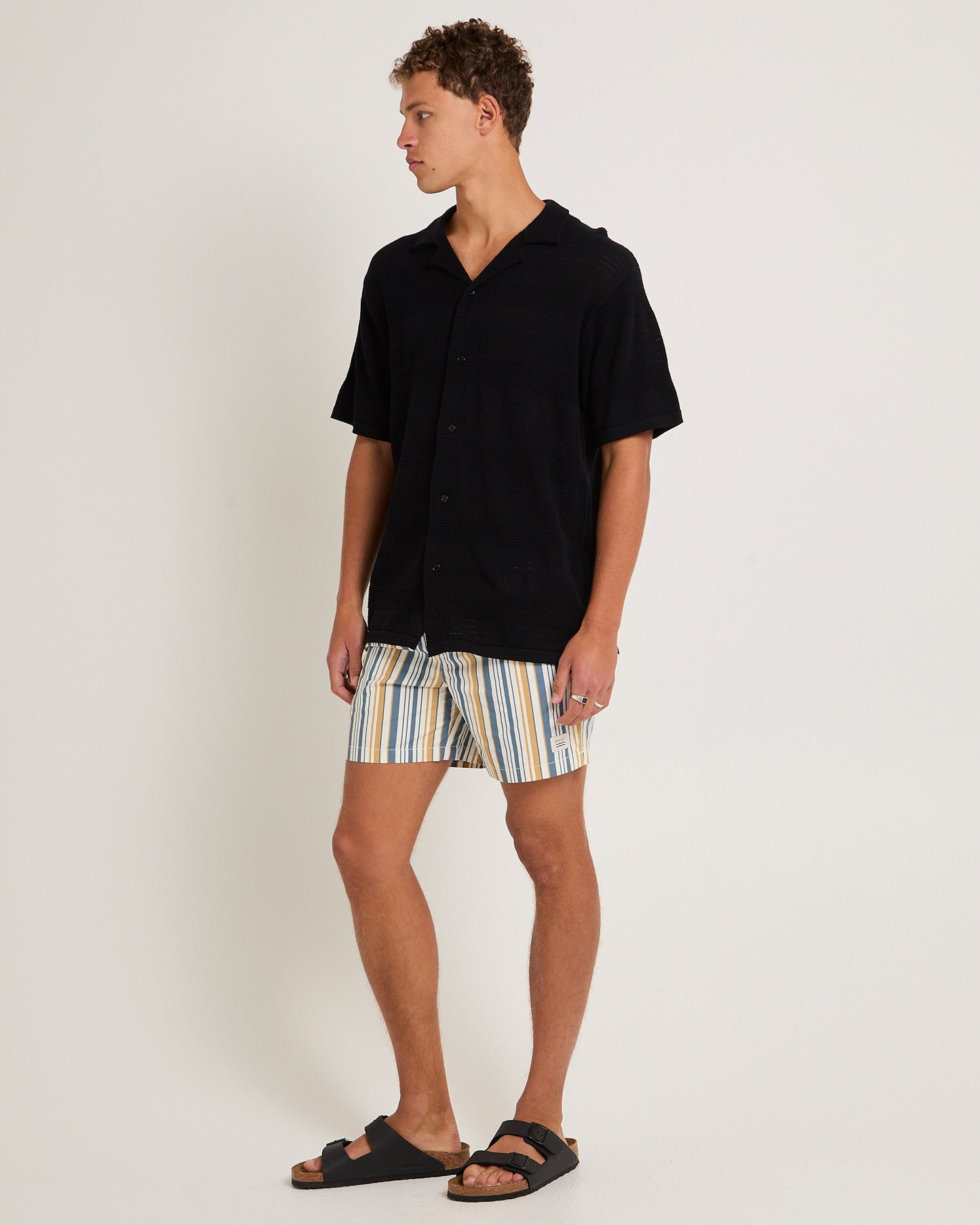 Galvin Striped Boarshorts