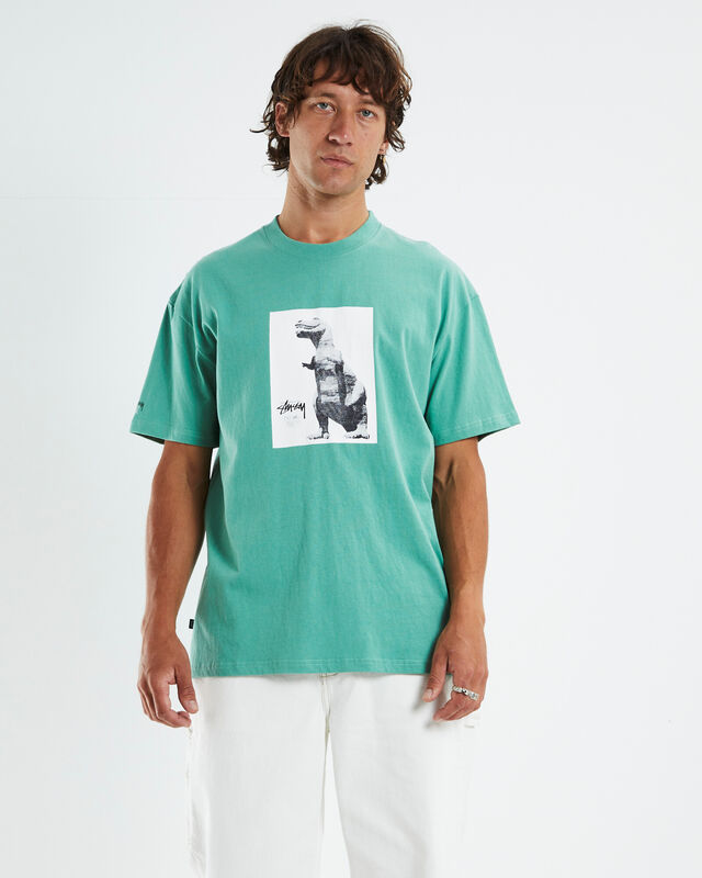 Big and Meaty Short Sleeve T-Shirt Pigment Tea Green, hi-res image number null