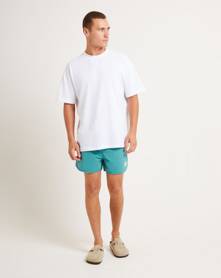 Avalon 14" Volley Boardshorts in Teal
