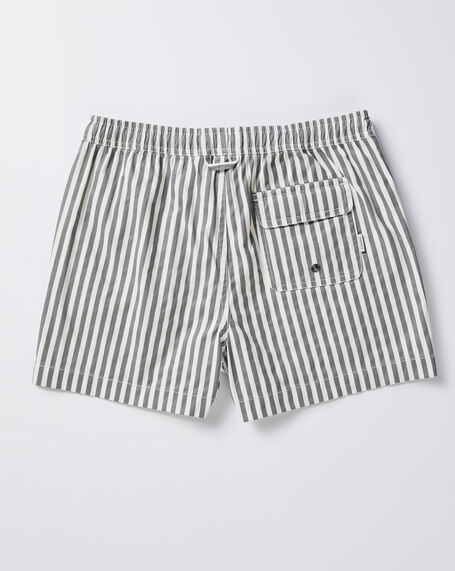 Teen Boys Dover Volley Boardshorts in Charcoal