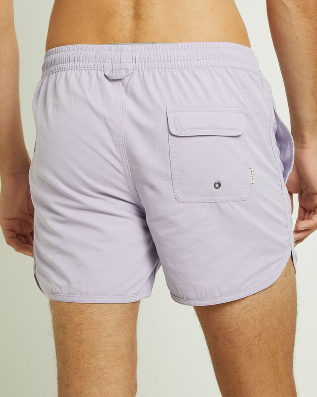 Avalon Volley Boardshorts in Lavender, hi-res image number null
