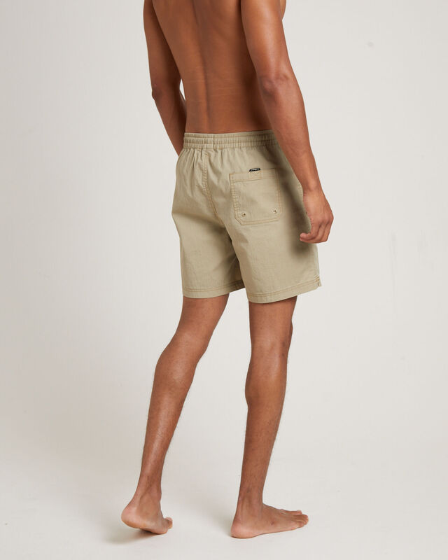 Dive Boardshorts in Tan, hi-res image number null