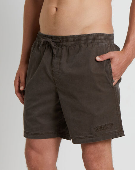 Dive Boardshorts in Brown