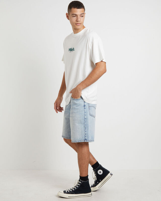 Groomy Short Sleeve T-Shirt in Pigment Thrift White, hi-res image number null
