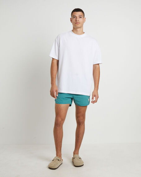 Avalon Volley Boardshorts in Green