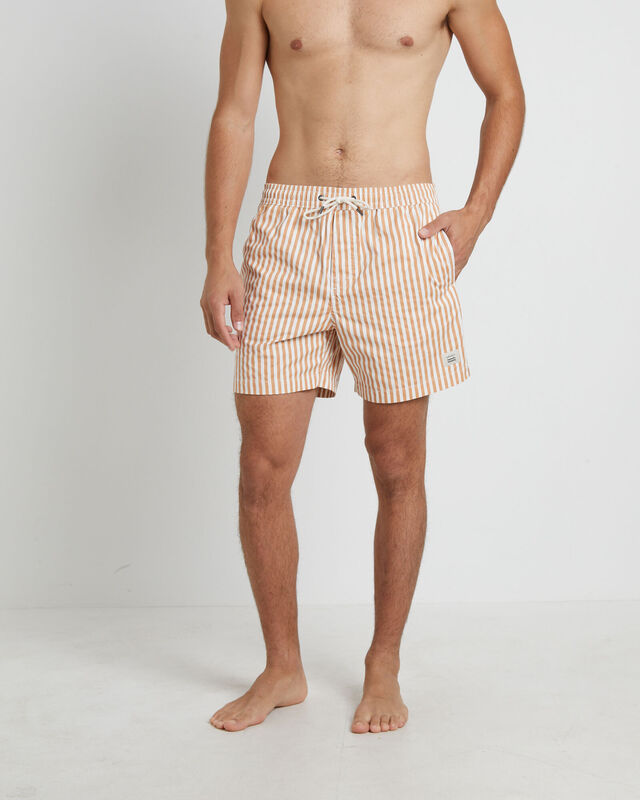 Dover Volley Boardshorts in Rust, hi-res image number null