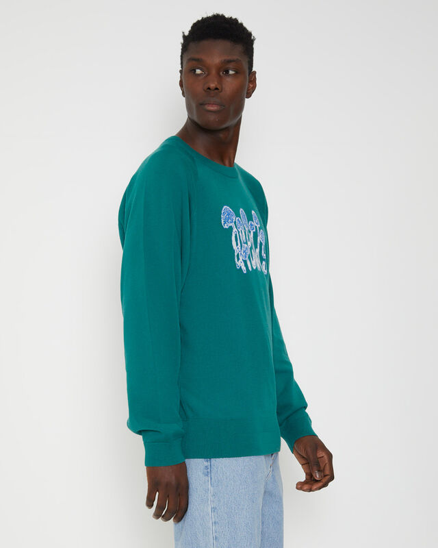 Psychedelic Raglan Long Sleeve Knit in Emerald Green, hi-res image number null