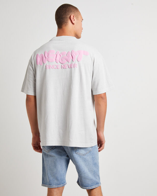 Narli Oversized Short Sleeve T-Shirt in Ash Grey, hi-res image number null