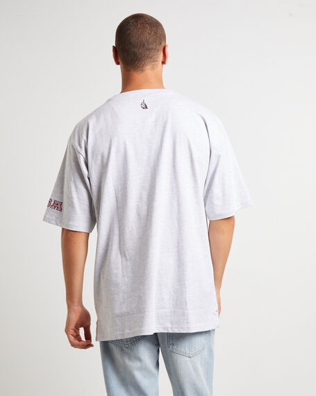Trela Short Sleeve T-Shirt in Ice Marle Grey