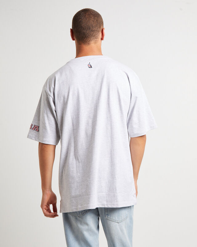 Trela Short Sleeve T-Shirt in Ice Marle Grey, hi-res image number null