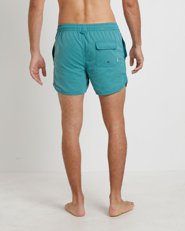 Avalon Volley Boardshorts in Green, hi-res image number null