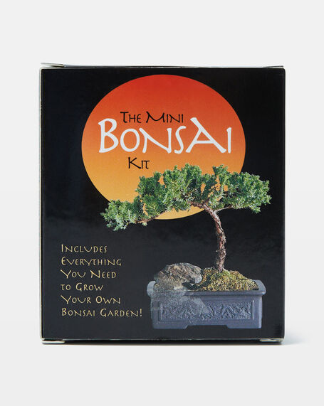 Bonsai Kit Mini Kit