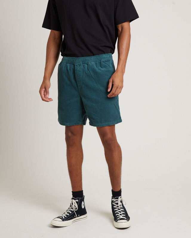 Bedford Cord Shorts in Teal, hi-res image number null