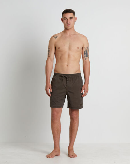 Dive Boardshorts in Brown