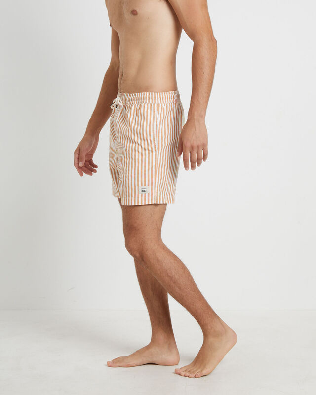 Dover Volley Boardshorts in Rust, hi-res image number null